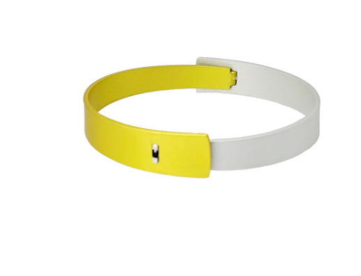 Nova two tone bangle